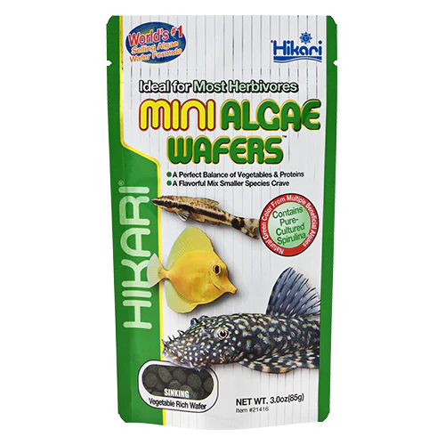 Hikari Mini Algea Wafers