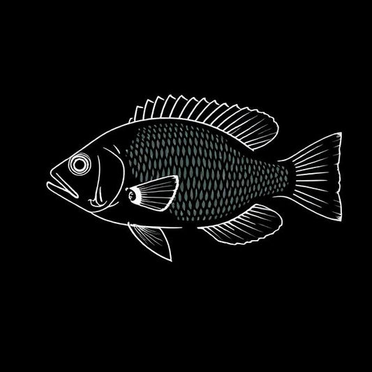 Bolivian Ram