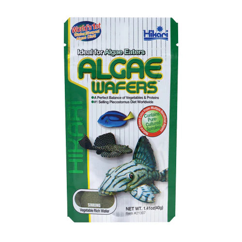 Hikari Algae Wafers