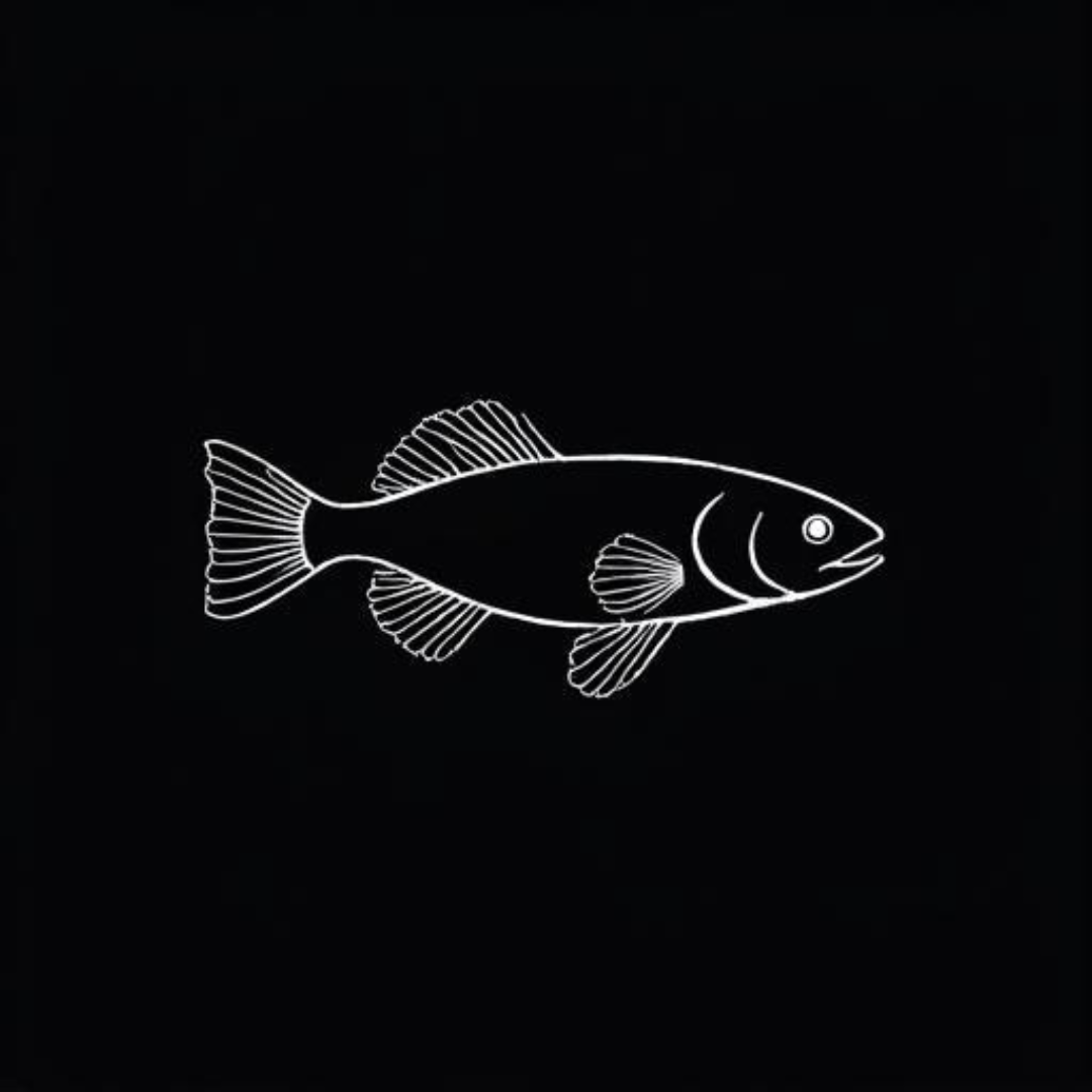 Golden Pencil Fish