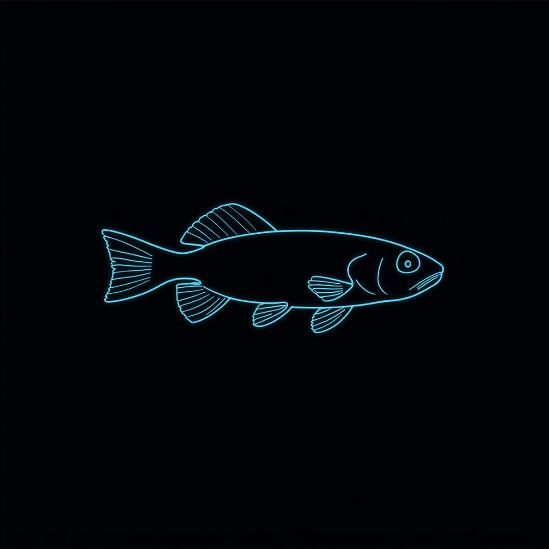 Green neon tetra