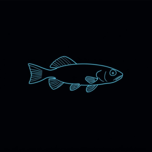 Green neon tetra