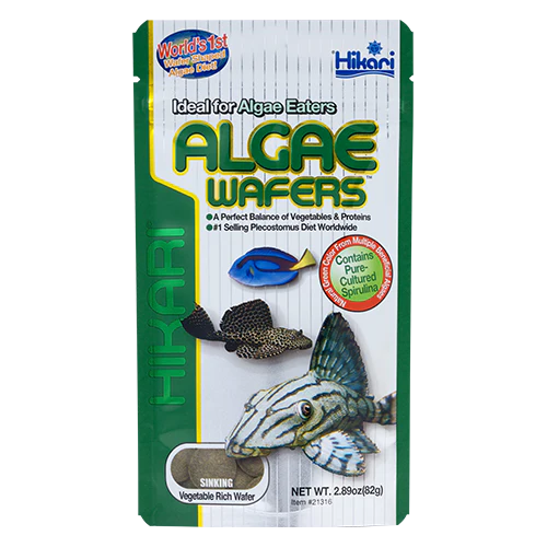 Hikari Algae Wafers