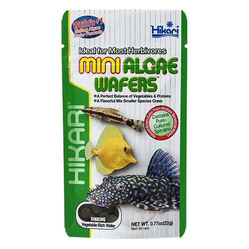 Hikari Mini Algea Wafers