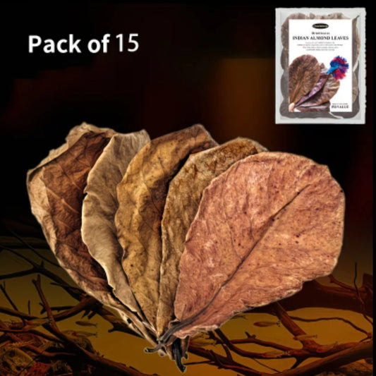 Indian Almond Leaves